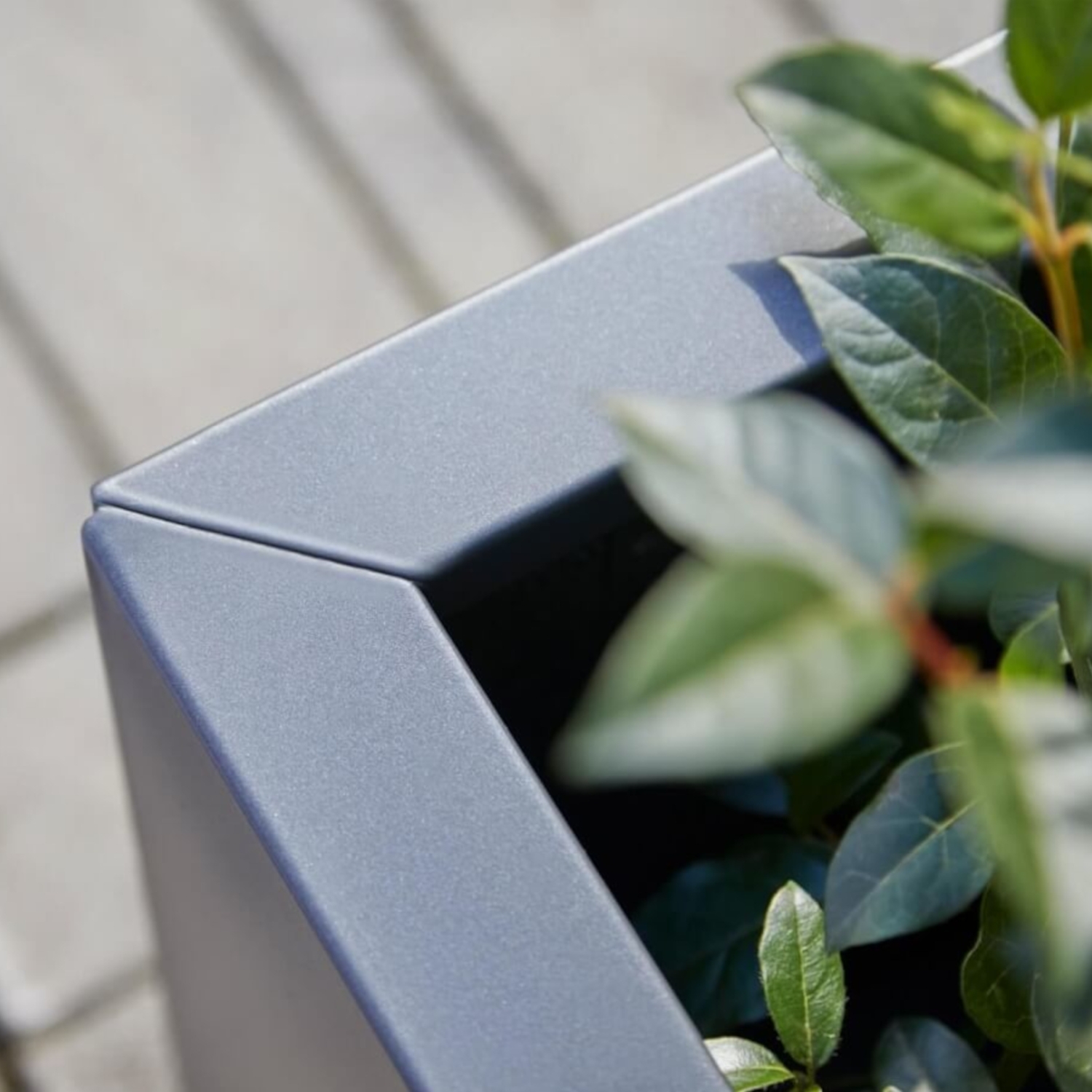 Sitzbank mit Sicht- & Windschutz 185 cm breit