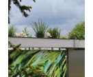 Planzgefäß als Aufsatz zum Gartenzaun aus Glas und Edelstahl, Bild 3